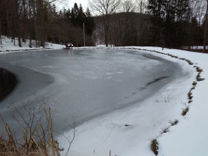 Pond Frozen